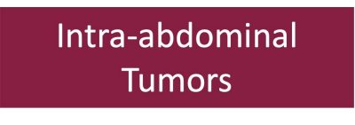 Intra-abdonminal tumors